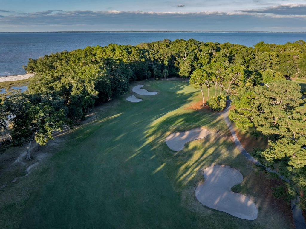 DolphinHeadHole14FAP