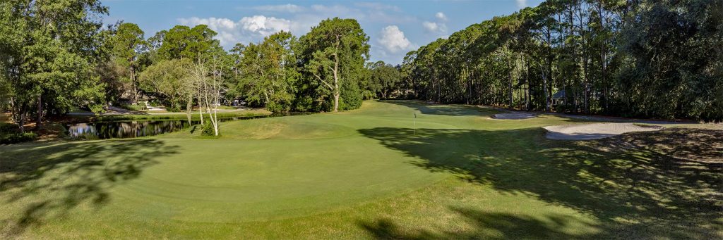 DolphinHeadHole17FAP