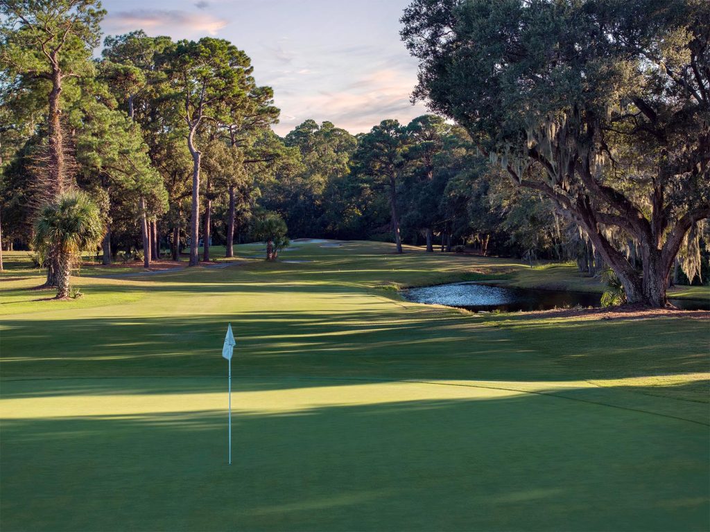 DolphinHeadHole12greensideFAP