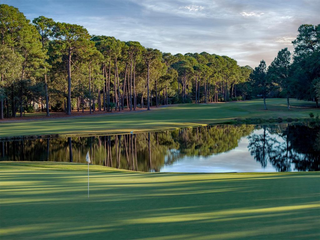 DolphinHeadHole09flagFAP