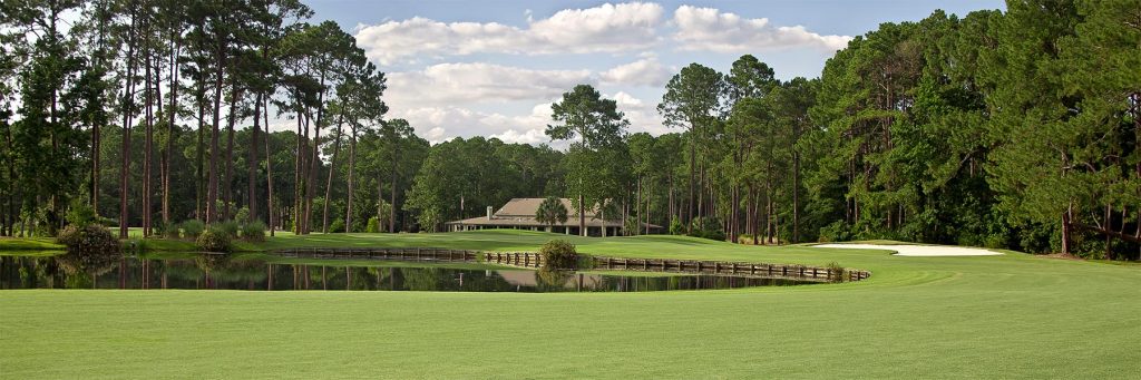 DolphinHeadHole09FAP