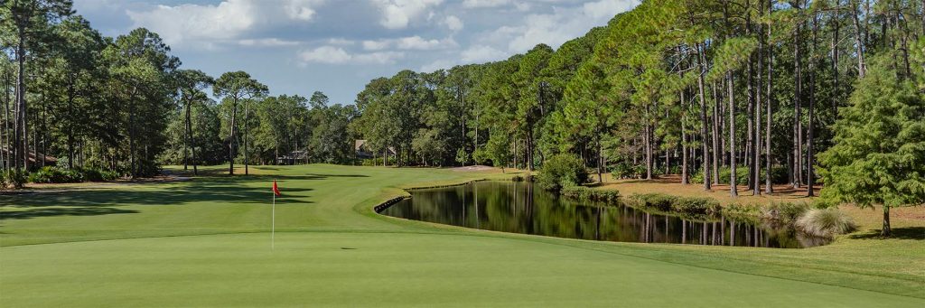 DolphinHeadHole08greensideFAP