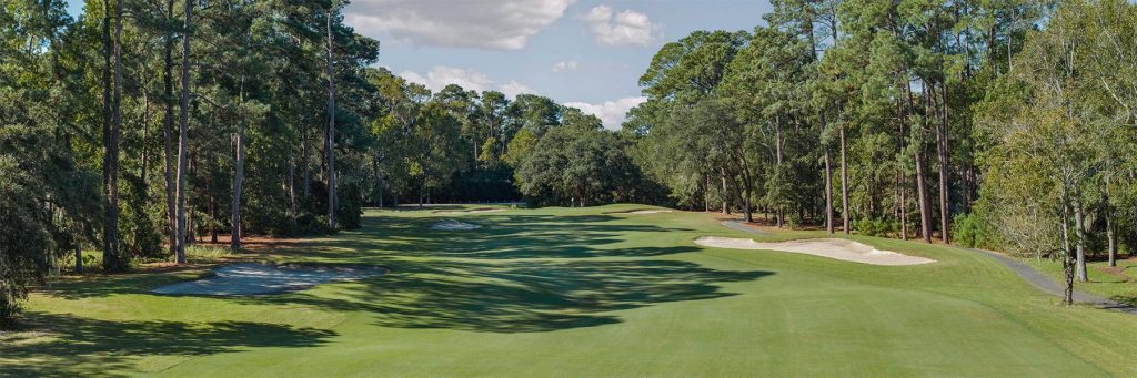 DolphinHeadHole03FAP