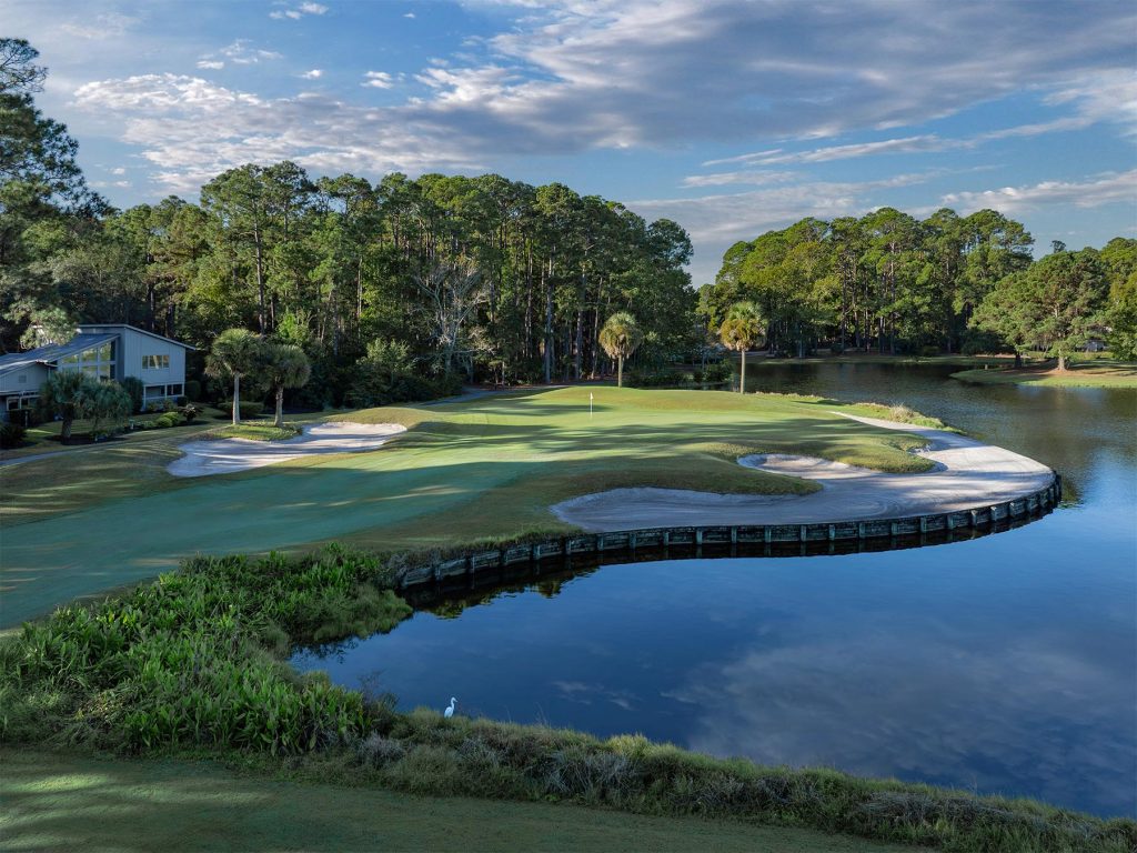 DolphinHeadHole18FAP