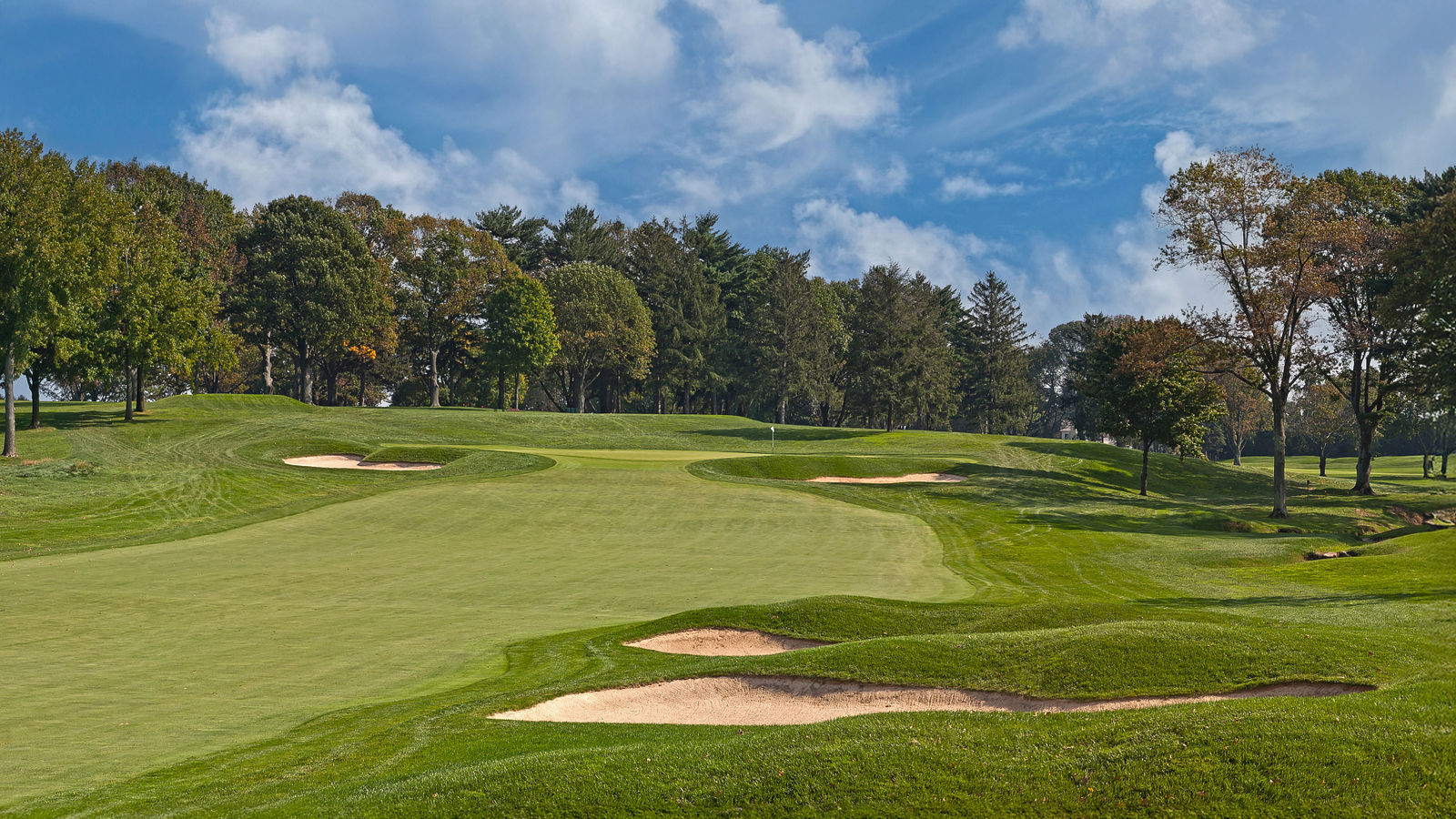 7ae6ce24c7d55a32cb4add0f415ee8b6-cover