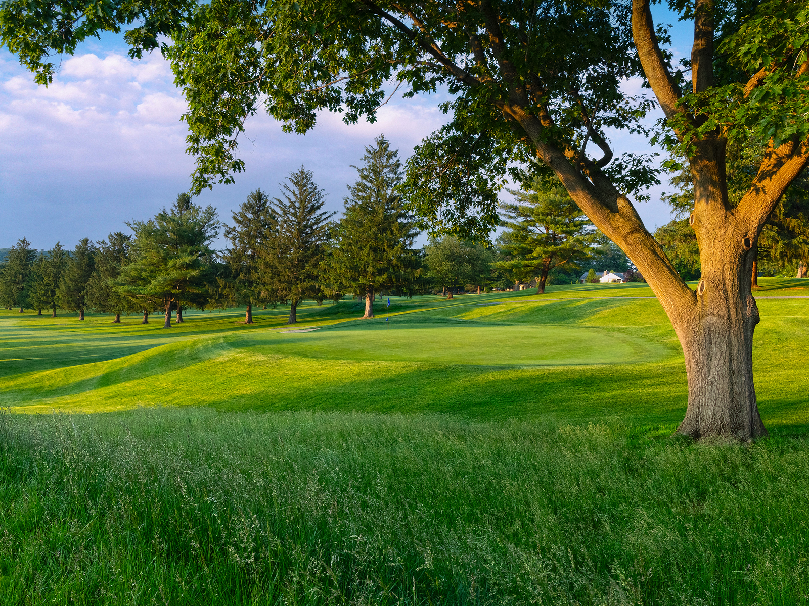 9f5a5bb7e484591fafaceefa13c5a1af-cover