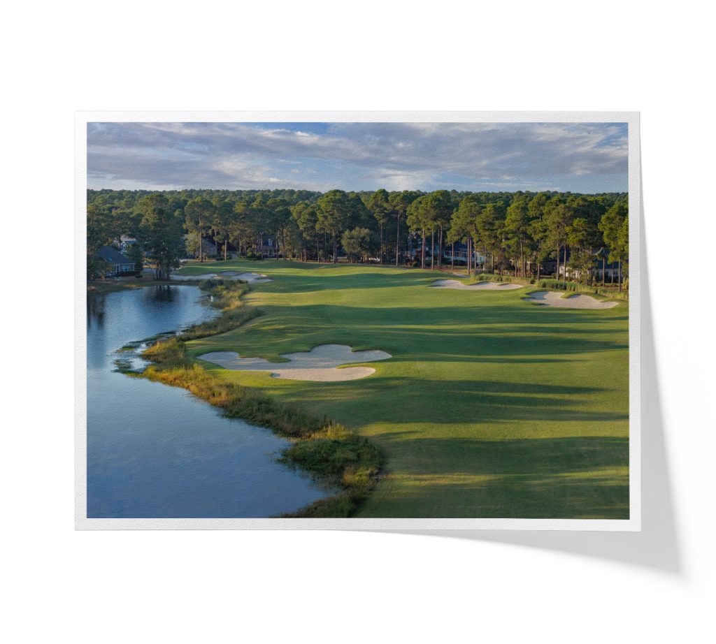 CarolinaNationalEgretHole2FAPFF