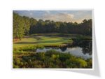 Carolina National Golf Club | Egret Course ~ Hole 5