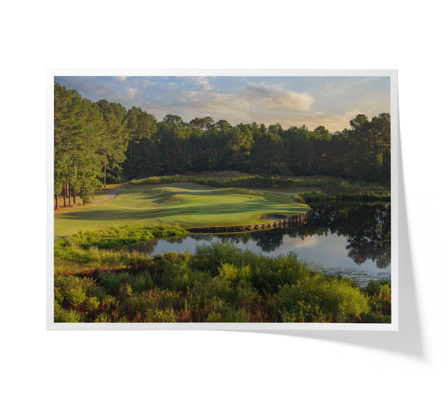 CarolinaNationalEgretHole5FAP