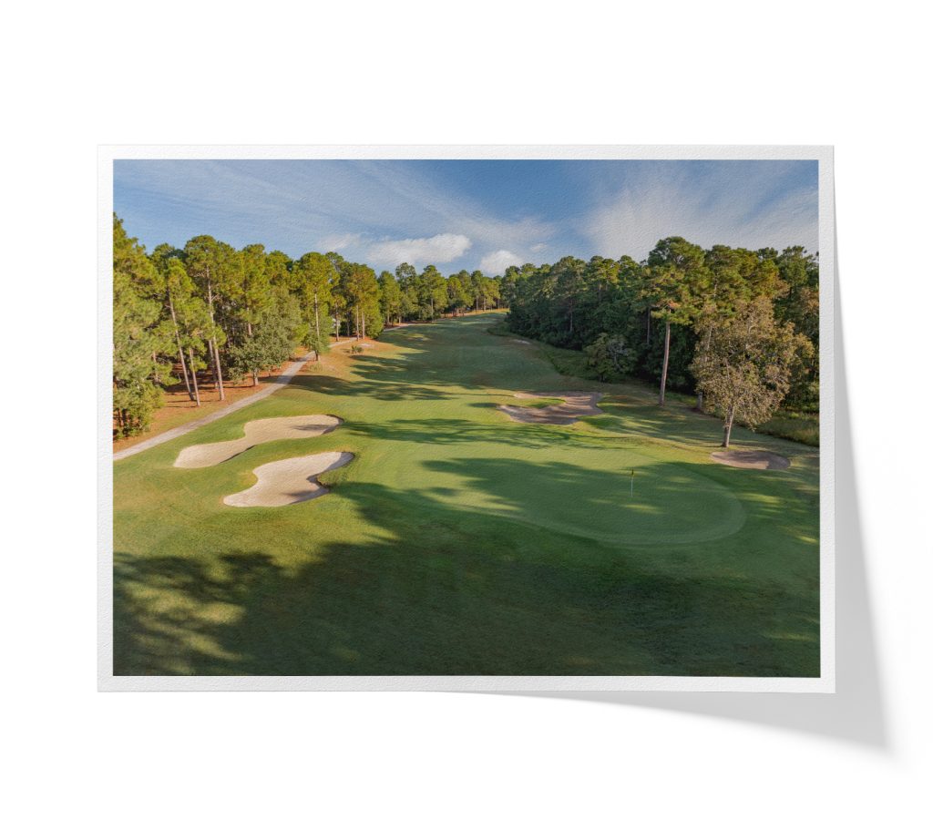 CarolinaNationalEgretHole7FAP