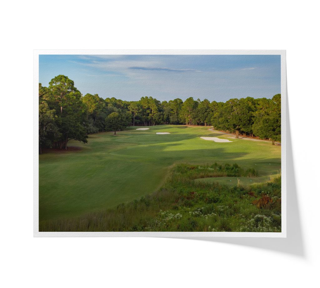 CarolinaNationalHeronHole6FAP