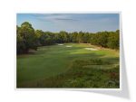 Carolina National Golf Club | Heron Course ~ Hole 6