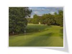 Carolina National Golf Club | Heron Course ~ Hole 7