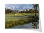 Carolina National Golf Club | Heron Course ~ Hole 9