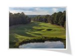 Carolina National Golf Club | Ibis Course ~ Hole 4