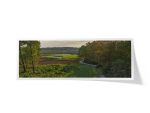 Carolina National Golf Club | Ibis Course ~ Hole 5 Tee