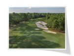Carolina National Golf Club | Ibis Course ~ Hole 8 Greenside