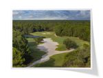Carolina National Golf Club | Ibis Course ~ Hole 9