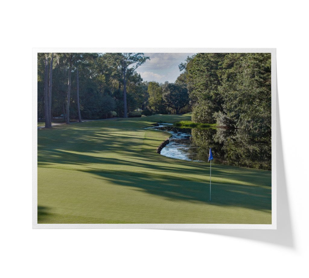 DolphinHeadHole04greensideFAP