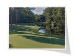 Dolphin Head Golf Club | Hole 04 Greenside