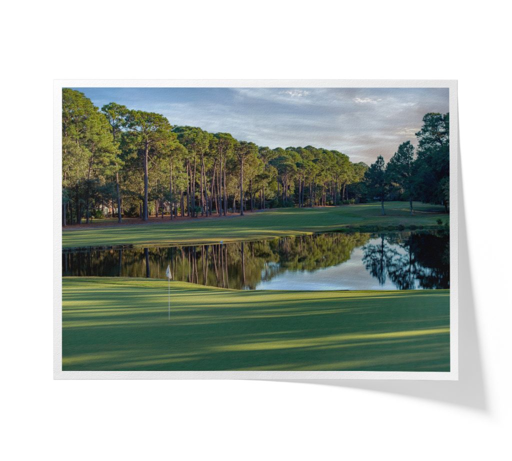 DolphinHeadHole09flagFAP