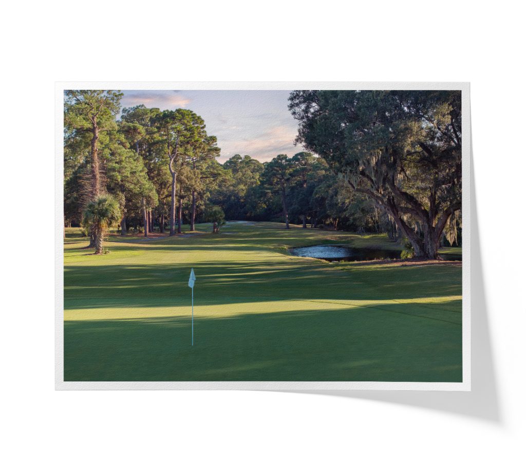 DolphinHeadHole12greensideFAP