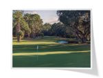 Dolphin Head Golf Club | Hole 12 Greenside