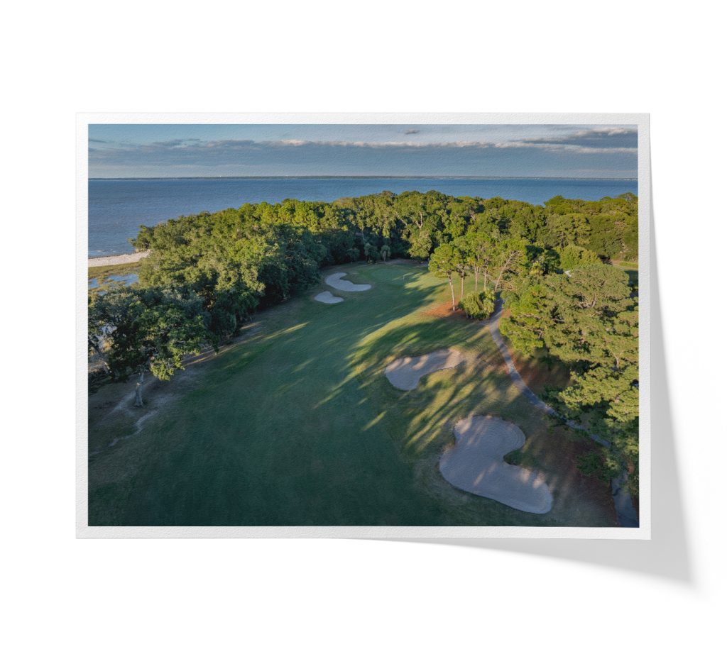 DolphinHeadHole14FAP