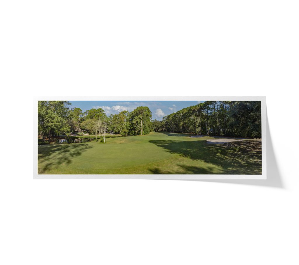 DolphinHeadHole17FAP