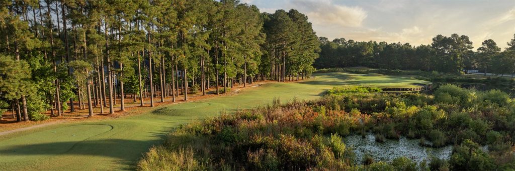 CarolinaNationalEgretHole5teeFAP