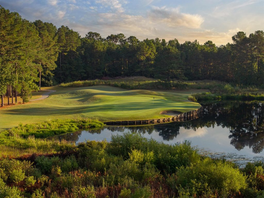 CarolinaNationalEgretHole5FAP