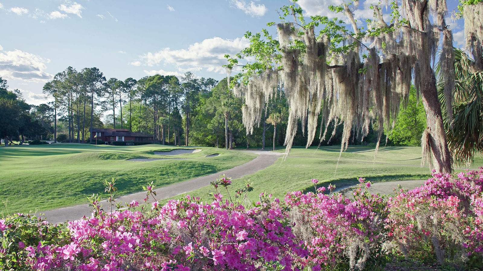 gainesville-country-club-focus-fairways-8