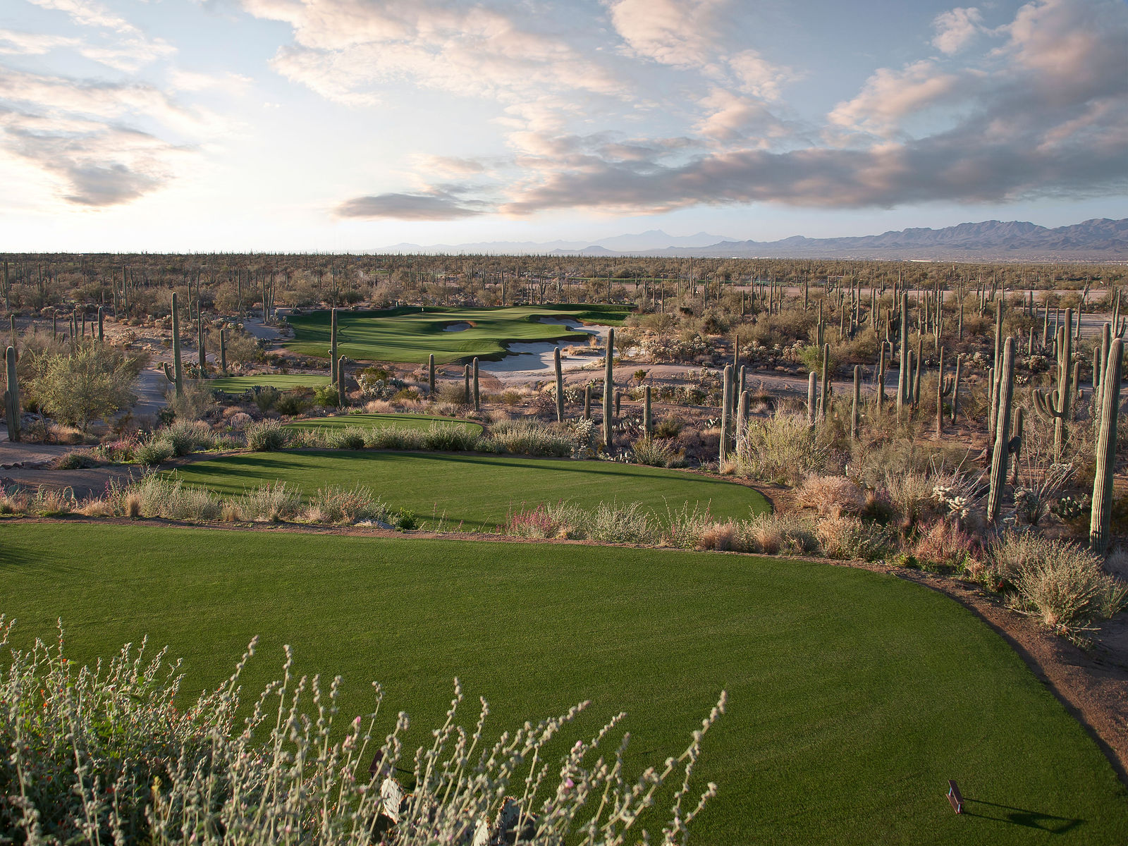 golf-club-at-dove-mountain-focus-fairways-5