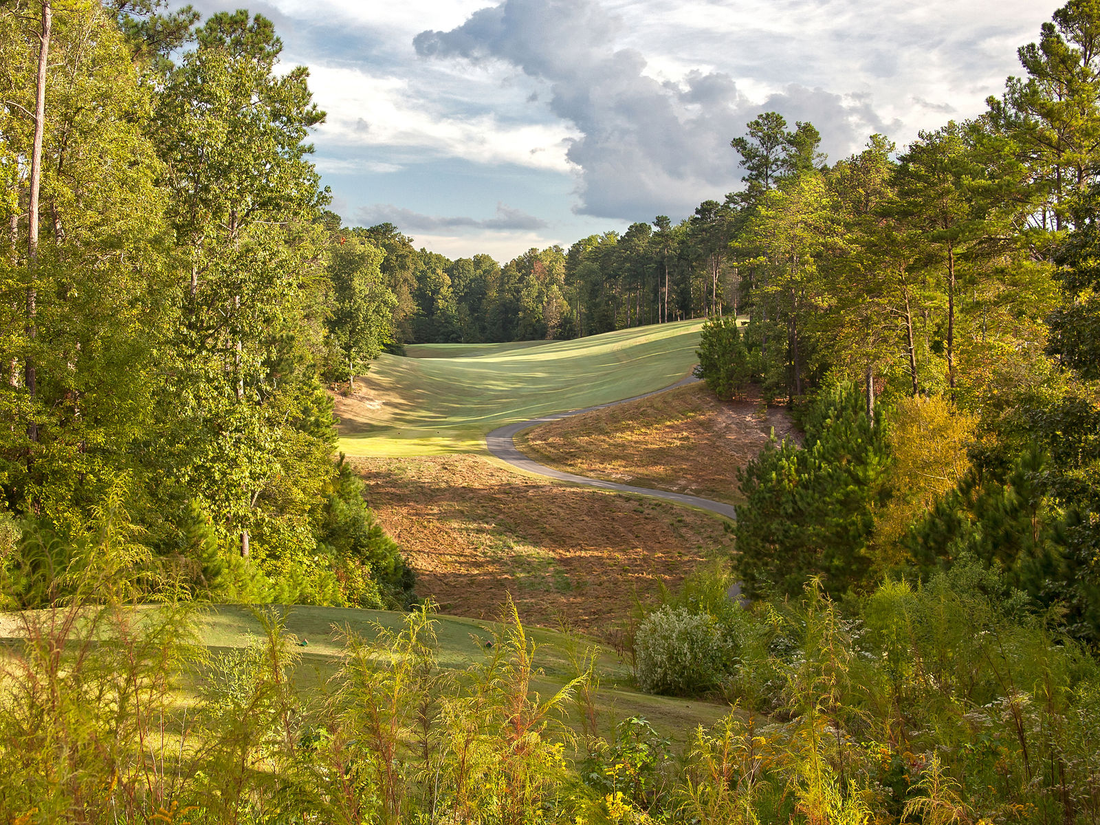 palisades-country-club-focus-fairways-1