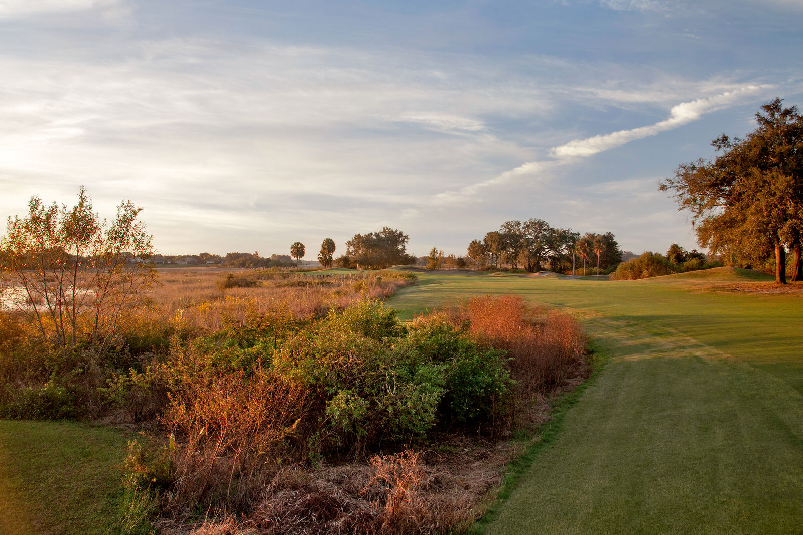 platation-at-leesburg-focus-fairways-5
