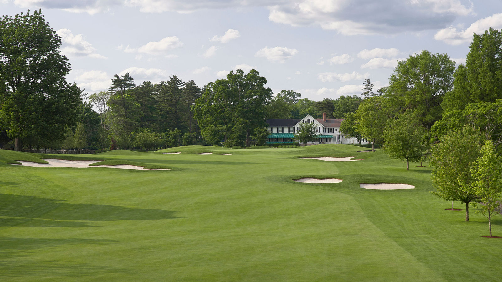 sterling-farms-golf-focus-fairways-1